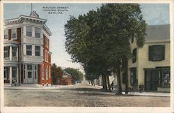 Walnut Street Looking South Postcard