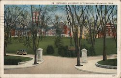 Entrance, University of Tennessee Postcard
