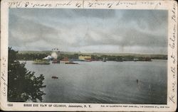 Birds Eye View of Celoron Postcard