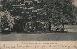 Under the Beeches, Rider Park Postcard