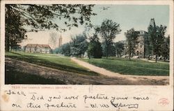 The Campus, Cornell University Postcard