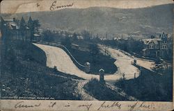 Section of Boulevard Postcard