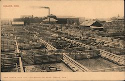 South Omaha Stock Yards Postcard