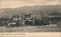 Bird's Eye View Postcard