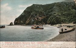 Gathering Moonstones, Moonstone Beach Santa Catalina Island, CA Postcard Postcard Postcard