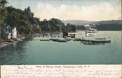 View at Bemus Point Postcard