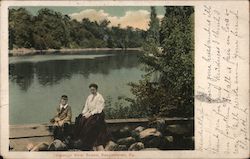 Venango River Scene Postcard