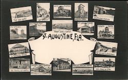 Golly! Dars a Gator - Views of St. Augustine Postcard