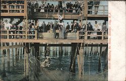 Hauling the Seine Postcard