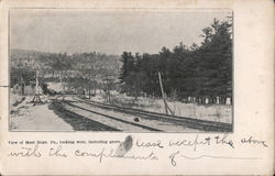 View Looking West Including Grove Mast Hope, PA Postcard Postcard 