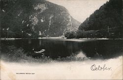 Water View Postcard