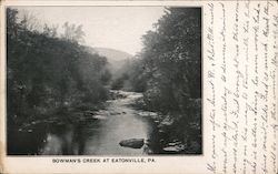 Bowman's Creek Eatonville, PA Postcard Postcard Postcard