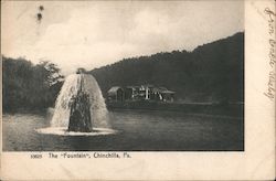 The "Fountain" Chinchilla, PA Postcard Postcard Postcard