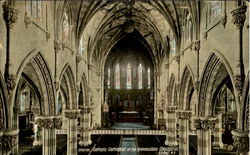 Interior, Catholic Cathedral of the Immaculate Conception Postcard
