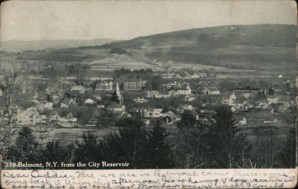 Belmont, N.Y. From The City Reservoir New York
