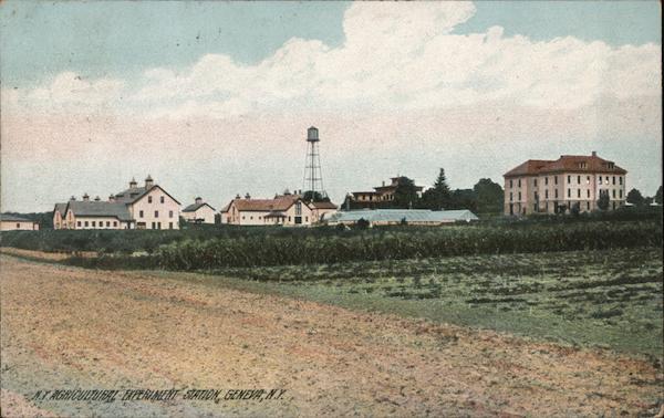 N.Y. Agricultural Experiment Station Geneva New York