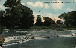 The Falls in Cherokee Park Postcard