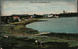 Farm Life near Peebles Postcard