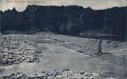 Scene at Little Miami River Postcard