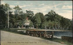 Scene on the Cove Neck Road, Long Island Postcard