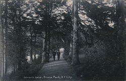 Lovers Lane Bronx Park Postcard