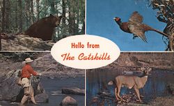 Hello from The Catskills - pictures of a bear, pheasant, deer, and fisherman Postcard