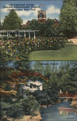 Old Fashioned Garden Veterans Administration Hospital Canandaigua, NY Postcard Postcard Postcard