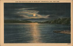 View from Menteth's Point by Moonlight Canandaigua, NY Postcard Postcard Postcard