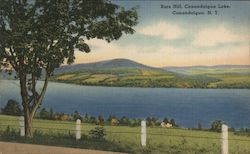 Bare Hill, Canandaigua Lake Postcard