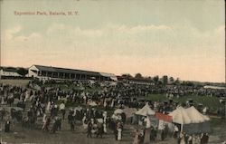 Exposition Park Batavia, NY Postcard Postcard Postcard