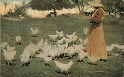 Woman in a Long Dress and Hat Feeding Chickens Postcard