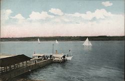 Regatta on Cayuga Lake Postcard