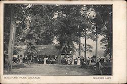 Long Point Picnic Grounds, Conesus Lake Postcard