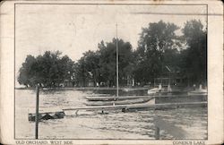 Old Orchard, West Side Conesus Lake Postcard