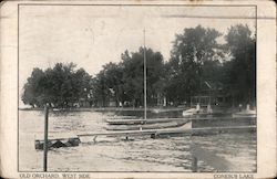 Old Orchard, West Side Conesus Lake Livonia, NY Postcard Postcard Postcard