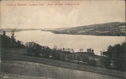 Scene at Beautiful Conesus Lake - Head of Lake looking north. Livonia, NY Postcard Postcard Postcard