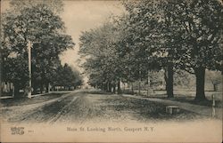 Main Street Looking North Postcard
