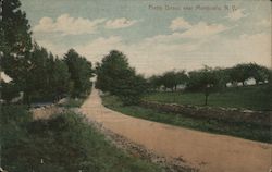 Pretty Drives near Monticello, N.Y. New York Postcard Postcard Postcard