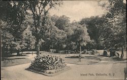 Island Park Wellsville, NY Postcard Postcard Postcard