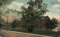 High School and the Historic Willow, Jamestown, N.Y. Postcard