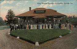 Gray Mineral Springs Cambridge Springs, PA Postcard Postcard Postcard