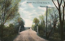 Macadam Drive Postcard