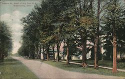 Adams St., West of Big Four R.R. Postcard
