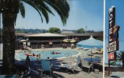 The Hitching Post Santa Cruz, CA Vester Dick Postcard Postcard Postcard