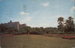 Hawkeye from Maplewood Park Postcard