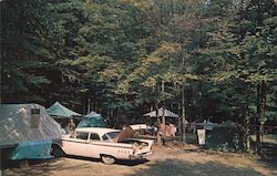 Camping at Allegany State Park, the Playground of southwestern New York State Postcard