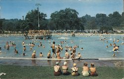 Municipal Swimming Pool, Brookside Park Postcard