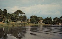 Winter Haven, as seen from Spring Lake Postcard