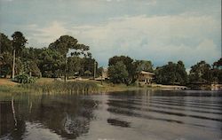 Winter Haven, as seen from Spring Lake Florida Postcard Postcard Postcard