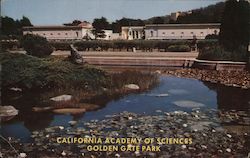 California Academy of Sciences, Golden Gate Park Postcard